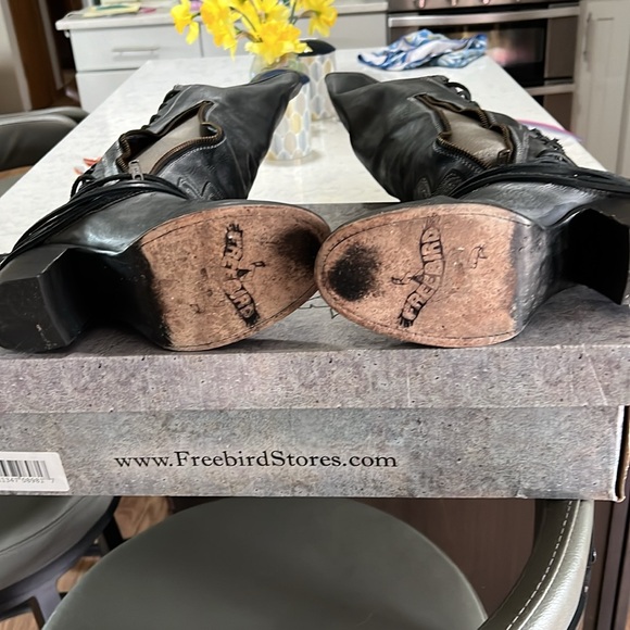 Freebird by Steven Coal - Picture 3 of 4